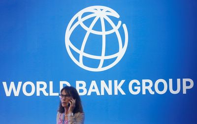 World Bank chafes at lower capital requirements recommended in G20 report - sources