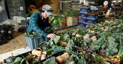 Veggies hit hard again as second flood in four months bites production
