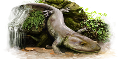 Ancient salamander was hidden inside mystery rock for 50 years