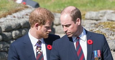 Prince Harry has 'poison in his blood' and wants to show power over William, says expert