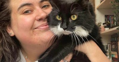 Distraught Edinburgh woman hit with £7.5k bill to treat cat's mystery illness