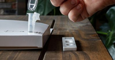 Should you put Covid tests in fridge? Expert issues hot weather warning