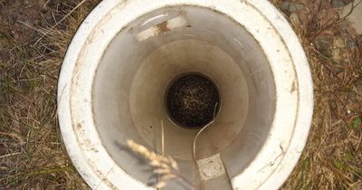 SSPCA officers rescue hedgehog stuck down hole in Lanarkshire