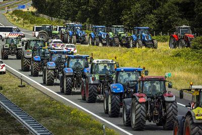 Right's new craze: Dutch farm protests