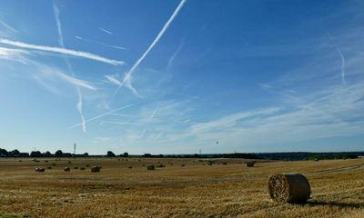 England heatwave: what is a level 4 national emergency?