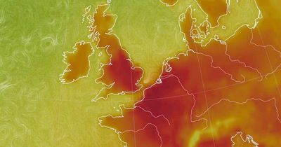 National Emergency: Level Four heat health alert issued for first time ever