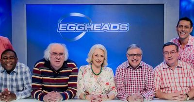 We applied for Channel 5's Eggheads and hope we have the brains for the gig