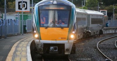 Irish Rail defends 'belittling' disabled toilet incident as passenger complains
