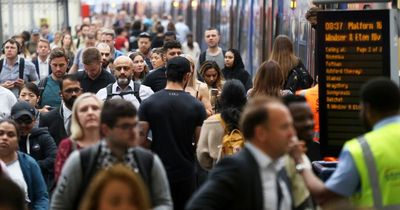 Heatwave travel chaos as Network Rail says don't use trains and TFL runs reduced service