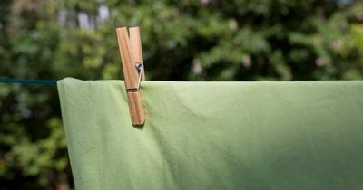 Mrs Hinch fan only washes his bed sheets twice a year and says they don't even smell