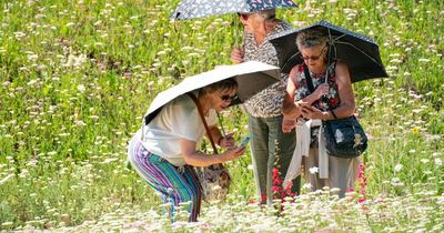 Expert answers six heatwave emergency questions we are all asking