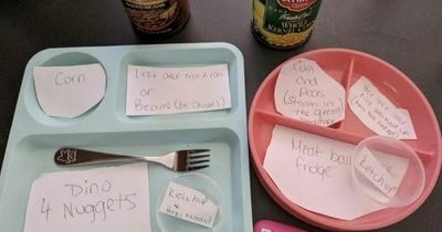 Man jokes his wife thinks he's an 'idiot' after she mapped out kids' meals for him