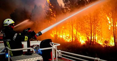 Spain, Portugal and France struggling to cope with heatwave as wildfires rage