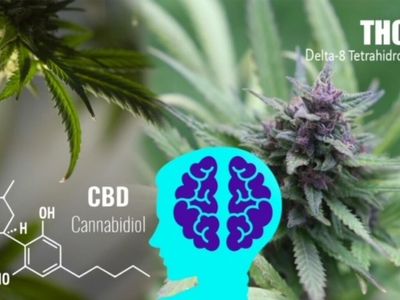 High-Strength THC Balanced With CBD Is Better For Your Brain, Study Shows