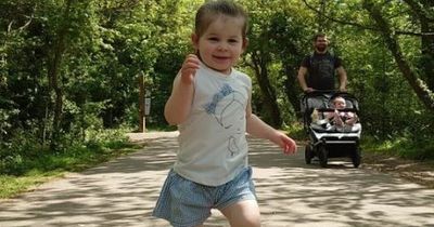 Two-year-old girl on life support after being found unconscious in Pontypool fountain