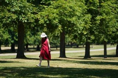 40C-plus temperatures a ‘wake-up call on climate change’, says expert