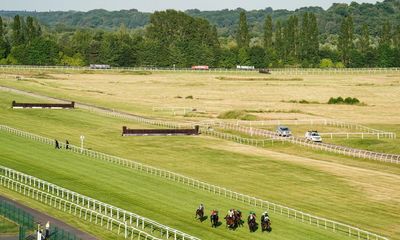 Talking Horses: Newbury faces ‘boycott’ while heat hits meetings