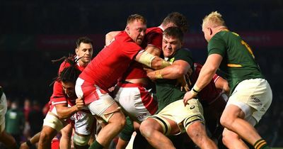 South Africa v Wales head-to-head ratings: How the teams match up for huge decider as Pivac's men ahead in one key area