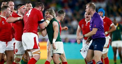 'F**k you, f**k you'!' South Africa v Wales sledges and accusations saw Shane and Habana clash