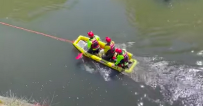 Dog rescued from River Kelvin as footage show fire crews saving pooch