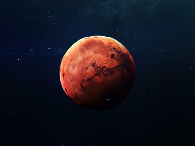 Elon Musk Says 'It's A Fixer Upper Of A Planet': Can We Live On Mars?