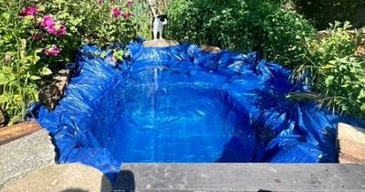 Woman makes her own swimming pool for £20 to cool off during heatwave
