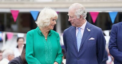 Camilla is 'very likeable person' and 'will do a good job' as Queen Consort, expert says
