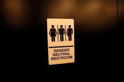 Peru's Congress declines OAS summit over gender neutral bathroom rule
