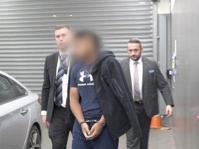 Sydney Easter Show stabbing murder charges