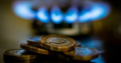 Greater Manchester council plans 'warm banks' in libraries to help struggling residents survive the winter