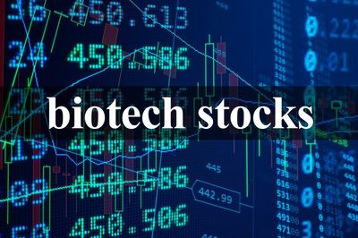 3 Biotech Stocks to Beat the Bear Market