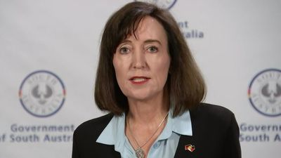 Acting SA Premier 'alarmed' as number of people with COVID-19 in hospital rises towards 300