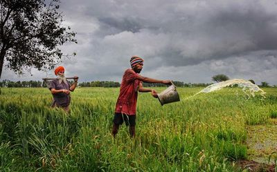 AAP govt wants Centre to take Punjab farmers out of debt trap; demands one-time debt waiver