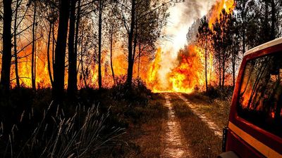 France faces soaring temperatures and forest fires over the weekend