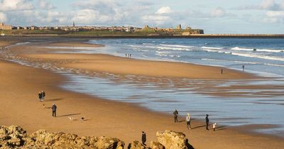 UK's top 10 beaches revealed: South Shields to Cornwall - see full list