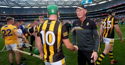 Limerick vs Kilkenny: GAA fans all saying the same thing about All-Ireland hurling final tickets