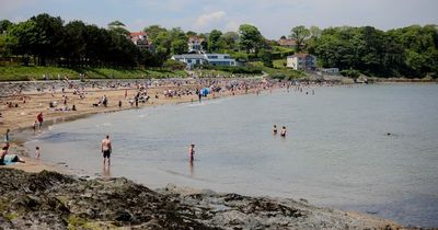 Public urged to look out for vulnerable people as temperatures soar in Northern Ireland