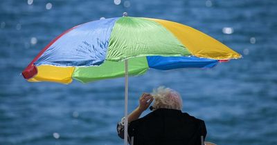 The €1 item that can keep Irish houses cool and you can get it from Dunnes, Tesco and SuperValu