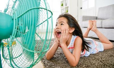 Electric fans: how much do they cost to run in a heatwave?