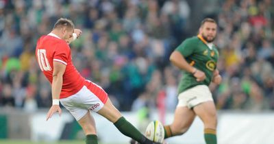Astonishing Wales statistic tells you exactly how they will look to beat South Africa again