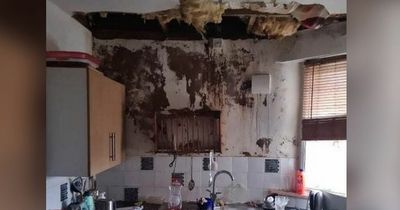 'Vulnerable' tenants in crumbling homes will have 'no justice'