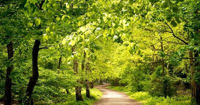 Places to beat the heatwave and keep cool in Nottinghamshire