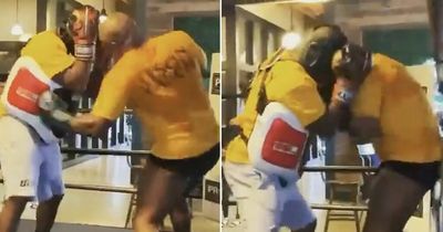Mike Tyson lands huge body shots as 56-year-old legend spars with trainer