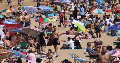 Transport services face 'significant disruption' due to heatwave, warns minister as he urges people not to travel