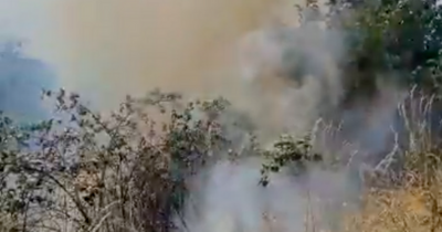 Firefighters rush to battle bush blaze in Dublin Park as heatwave warnings issued