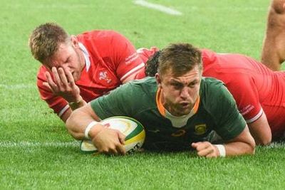 South Africa 30-14 Wales: Handre Pollard shines in third Test decider as Springboks seal series win