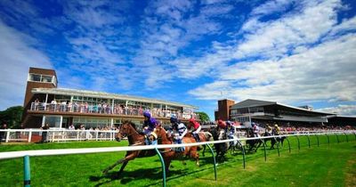 Sunday racing tips and Nap from Newsboy for fixtures at Redcar, Newton Abbot and Stratford