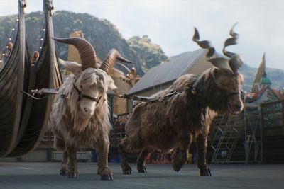 Screaming goats of "Thor" not fiction