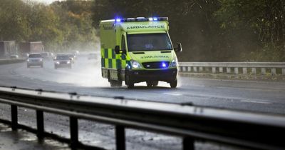 Two babies among five rushed to hospital after terrifying car crash