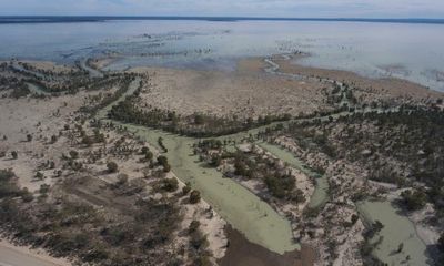 NSW flood plain harvesting rules won’t protect environment, government advisers warn